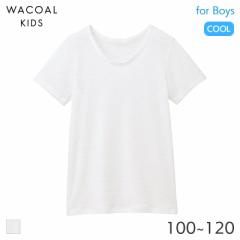 期間限定20%OFF ワコール キッズ さわやか研究所 ボーイズ 半袖インナー Uネック(100 110 120)CHV363【メール便10】
