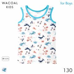 期間限定20%OFF ワコール キッズ ボーイズ タンクトップ Uネック(130)CHX125【メール便06】