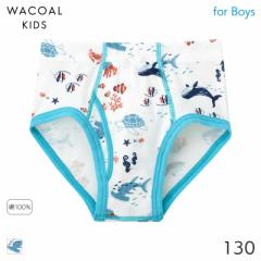 期間限定20%OFF ワコール キッズ ボーイズ ブリーフ(130)CPQ125【メール便04】
