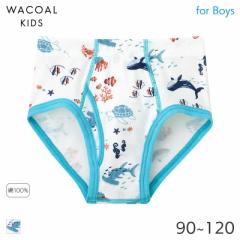 期間限定20%OFF ワコール キッズ ボーイズ ブリーフ(90 100 110 120)CPQ125【メール便04】