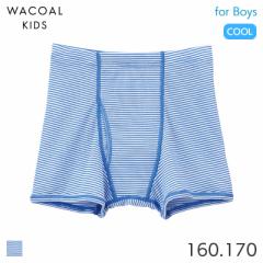 期間限定20%OFF ワコール キッズ さわやか研究所 ボーイズ ニットボクサー(160 170)CPS563【メール便04】