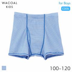 期間限定20%OFF ワコール キッズ さわやか研究所 ボーイズ ニットボクサー(100 110 120)CPS563【メール便04】
