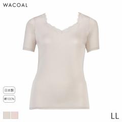 期間限定20%OFF ワコール コットン オーガニックコットン100%ゆったりタイプ ニットトップ せまめUネック 3分袖(LL)CLC239【メール便10】
