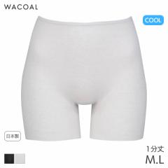 期間限定20%OFF ワコール コットン フリーカッティングタイプ ニットボトム 1分丈 はきこみ丈ふかめ(M L)HLC149【メール便06】