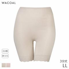 期間限定20%OFF ワコール コットン オーガニックコットン100%ゆったりタイプ ニットボトム 3分丈 はきこみ丈ふかめ(LL)HLD239【メール便0