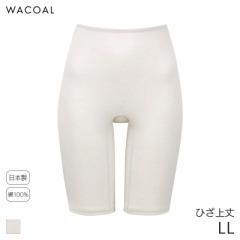 期間限定20%OFF ワコール コットン オーガニックコットン100%タイプ ニットボトム はきこみ丈ふかめ ひざ上丈(LL)HLD429【メール便08】