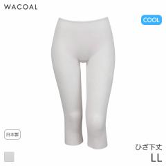 期間限定20%OFF ワコール コットン フリーカッティングタイプ ニットボトム ひざ下丈 はきこみ丈ふかめ(LL)HLE549【メール便10】