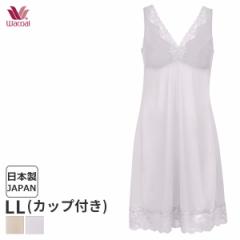 Ԍ20%OFF R[ WF[ uXbv JbvtXbv Eh X^_[hVGbg(LLTCY)JRA685