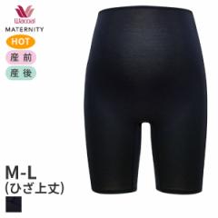 Ԍ20%OFF y[15zR[ }^jeB jbg{g YOEY㌓p ͂ݏӂ Ђ(}^jeBM-LTCY)MUP53