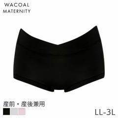 20%OFF ワコール マタニティ ショーツ 産前 産後 はきこみ丈ふつう ノーマルショーツ(マタニティLL-3L39)MPP030【メール便06】