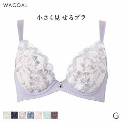 期間限定20%OFF ワコール 小さく見せるブラ メッシュ ブラジャー フルカップ(G)BRB329