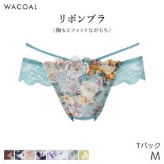22%OFF ���R�[�� ���{���u�� �����ƃt�B�b�g�Ȃ����� �V���[�c �͂����ݏ䂠���� T�o�b�N�V���[�c(M)PXB490�y���[����03�z