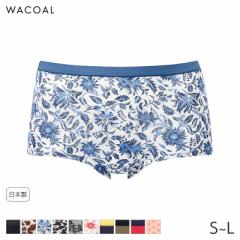 期間限定20%OFF ワコール コットン ショーツ はきこみ丈ふつう ボーイレングスショーツ(S M L)PPD444【メール便05】