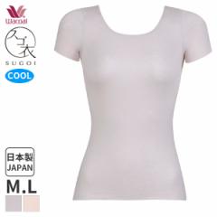 Ԍ20%OFF y[10zR[ XS ₳ jbggbv 2 X^_[hUlbN(M LTCY)CLC243