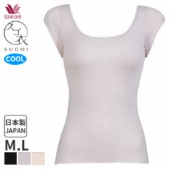 Ԍ20%OFF y[10zR[ XS ₳ jbggbv t` [߃{[gUlbN(M LTCY)CLC743