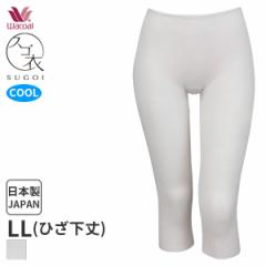 Ԍ18%OFF y[15zR[ XS ₳ jbg{g Ђ(LLTCY)HLE544