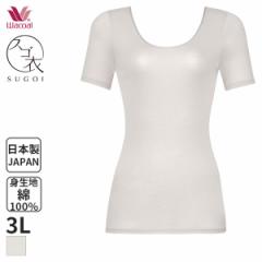 Ԍ20%OFF y[10zR[ XS Ȃ߂炩Rbg jbggbv UlbN 3(3LTCY)CLC222