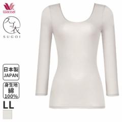 15%OFF y[10zR[ XS Ȃ߂炩Rbg jbggbv UlbN 8(LLTCY)CLD322