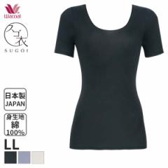 15%OFF y[10zR[ XS Ȃ߂炩Rbg jbggbv UlbN 3(LLTCY)CLC222