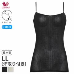 Ԍ18%OFF y[10zR[ XS AyA jbggbv VlbN L~\[(LLTCY)CLA192