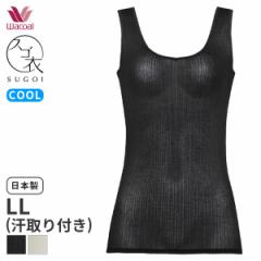 15%OFF y[10zR[ XS AyA jbggbv VlbN m[X[u(LLTCY)CLB692