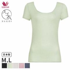 Ԍ20%OFF y[10zR[ XS udeo jbggbv UlbN 2(M LTCY)CLC225