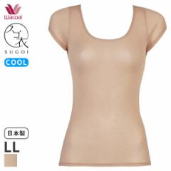 Ԍ20%OFF y[10zR[ XS AyA jbggbv UlbN 2(LLTCY)CLC291