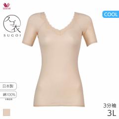 15%OFF y[10zR[ XS VbƂЂ ulbN 3Ci[(3LTCY)CLC297