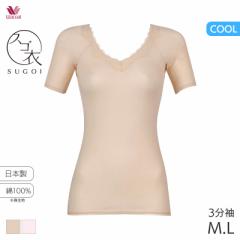 15%OFF y[10zR[ XS VbƂЂ ulbN 3Ci[(M LTCY)CLC297