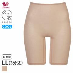 Ԍ20%OFF y[06zR[ XS AyA jbg{g ͂ݏӂ 3(LLTCY)HLD291