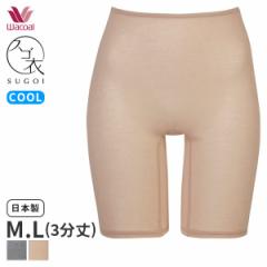 Ԍ18%OFF y[06zR[ XS AyA jbg{g ͂ݏӂ 3(M LTCY)HLD291