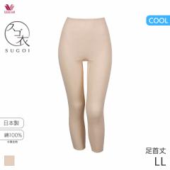 Ԍ18%OFF y[15zR[ XS VbƂЂ  Ci[{g(LLTCY)HLE697