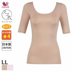 Ԍ20%OFF y[15zR[ XS ӂA jbggbv X^_[hUlbN (LLTCY/5)CLC582