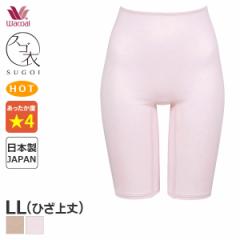 Ԍ18%OFF y[10zR[ XS ӂA jbg{g (LLTCY/Ђ)HLD482