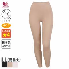 Ԍ18%OFF y[15zR[ XS ӂA jbg{g (LLTCY/)HLE682