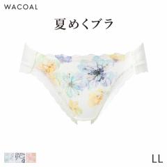 期間限定20%OFF ワコール 夏めくブラ ショーツ はきこみ丈あさめ ハイレッグショーツ(LL)PXB175【メール便04】