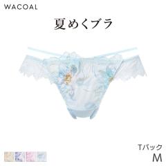 ���R�[�� �Ă߂��u�� �V���[�c �͂����ݏ䂠���� T�o�b�N�V���[�c(M)PXB485�y���[����03�z