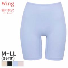 15%OFF y[10zECO ȂґI[KjbN jbg{g ͂ݏӂ 3(M L LLTCY)ER1356