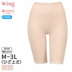 Ԍ20%OFF y[10zECO 100% V^Cv jbg{g ͂ݏӂ Ђ(M L LL 3LTCY)ER6462