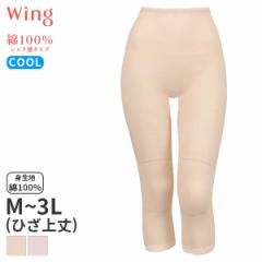 Ԍ20%OFF y[10zECO 100% V^Cv jbg{g ͂ݏӂ 7(M L LL 3LTCY)ER6762