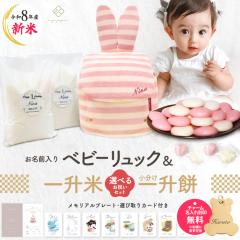 �o�j�[�����b�N+�ꏡ�݃Z�b�g �ꏡ�݃����b�N �������� ������ �x�r�[�����b�N �����ꖳ��  1�� �a�����v���[���g �����b�N �����b�N�T�b