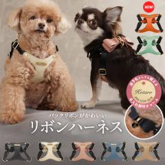 ���{���n�[�l�X �� �n�[�l�X ���p�b�h�t�� ���� ���b�V���N�b�V���� ���^�� ������v �o�b�N���{�� ���U�� ���ł��� �����O���� ���q�D 