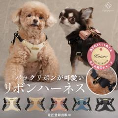 ���{���n�[�l�X �� �n�[�l�X ���p�b�h�t�� ���� ���b�V���N�b�V���� ���^�� ������v �o�b�N���{�� ���U�� ���ł��� �����O���� ���q�D 