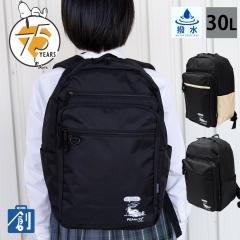 �����b�N�T�b�N ���f�B�[�X ��e�� 30l �q�� �L�b�Y ���킢�� ������� ���s �y�� ���̎q ���q �ʊw ���w�� ���Z�� pc 15�C���` �ʊw����