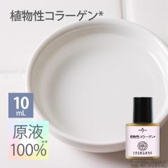 AR[Q t 100% 10mL Ռv{g [ et Zx { GCWOPA R[Qt ibgEK tet ь