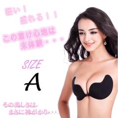 LAZA  VR u H^ TCYAbv ATCY ^ (ubN)