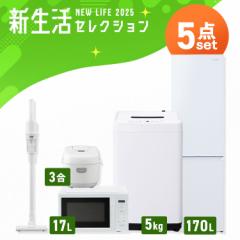 家電セット 一人暮らし 5点セット 冷蔵庫 2ドア スリム 170L 洗濯機 縦型 5kg 電子レンジ 単機能 炊飯器 3合炊き 掃除機 コードレス 黒 