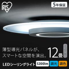 SALE V[OCg  12  CEA-A12DLP ACXI[} LEDV[OCg PANEL LIGHT plCg 