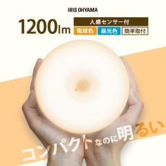 V[OCg  ledV[OCg ^ lZT[ ACXI[} Ɩ V Ɩ led ȒPt dF F 