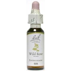 ���C���h���[�Y  10ml �O���Z�����x�[�X�@��M �@ ���C�� ���֐S ������߁@�o�b�`�t�����[�����f�B ���[���֑I���ő�������